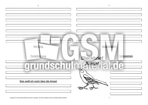 Amsel-Faltbuch-vierseitig-2.pdf